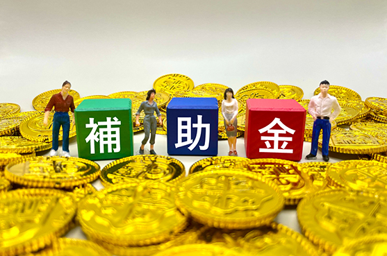 家の解体の補助金