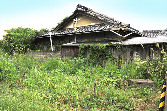 更地にする前の雑草が生い茂る空き家