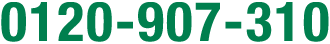 0120-907-310